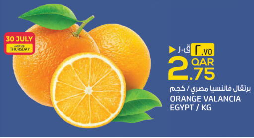 Orange from Valancia Egypt available at السعودية in قطر - الشمال