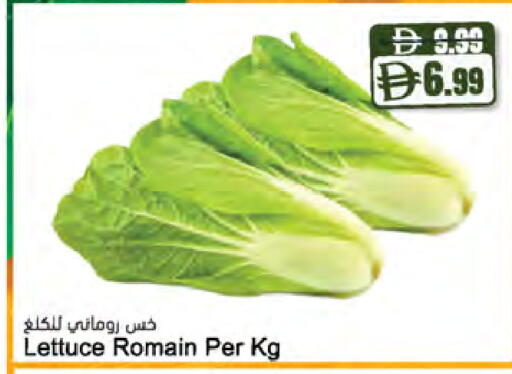 Lettuce available at Almaya Supermarkets in UAE - Ras al Khaimah