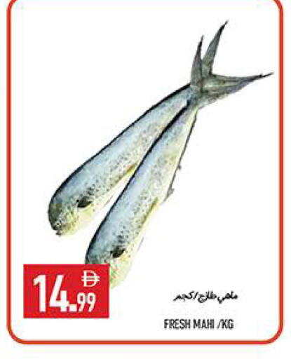 available at  روابي ماركت عجمان in الإمارات العربية المتحدة , الامارات - الشارقة / عجمان