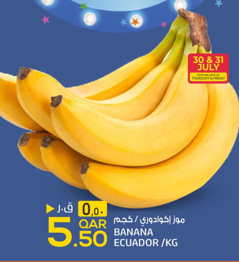 Banana from Ecuador available at السعودية in قطر - الضعاين