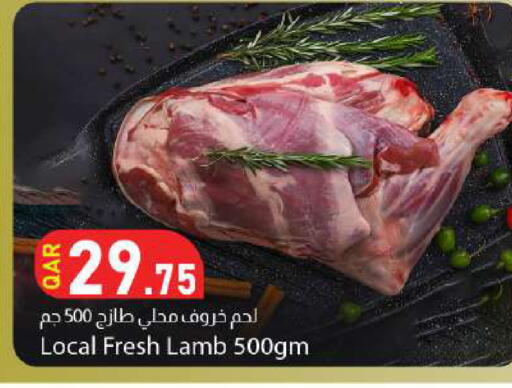 available at دانا ماركت in قطر - الشمال