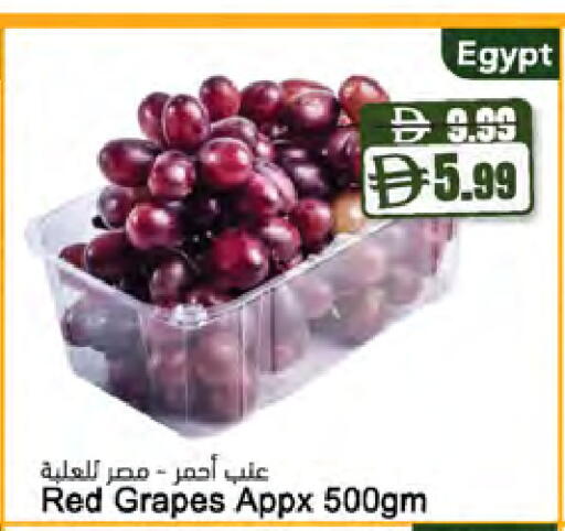 Grapes from Egypt available at Almaya Supermarkets in UAE - Ras al Khaimah