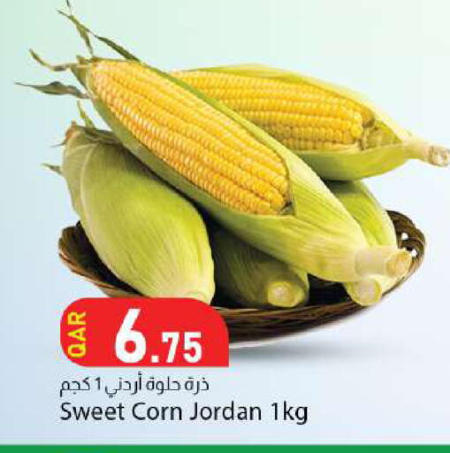 from Jordan available at Dana Market in Qatar - Umm Salal