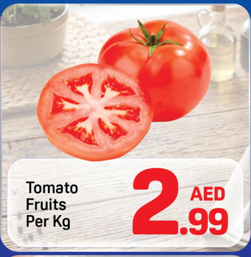 Tomato available at دي تو دي in الإمارات العربية المتحدة , الامارات - دبي