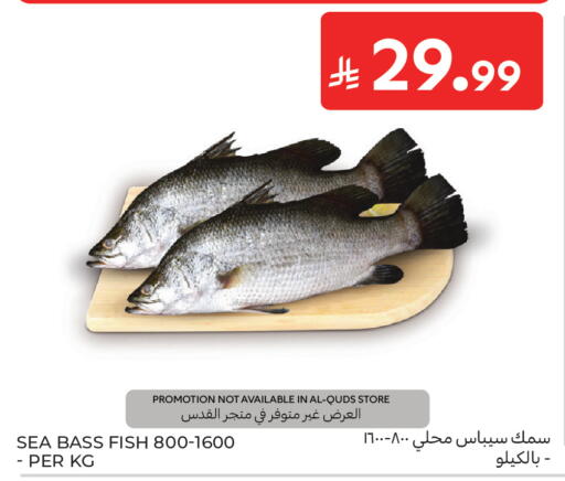 available at كارفور in مملكة العربية السعودية, السعودية, سعودية - جدة