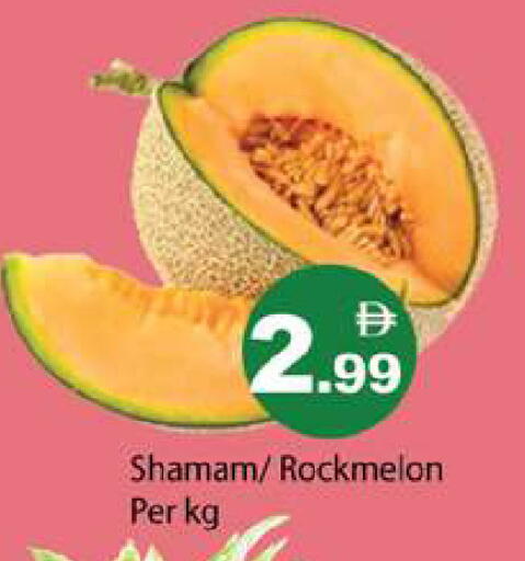 available at Gulf Hypermarket LLC in UAE - Ras al Khaimah