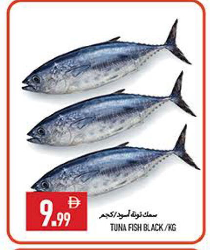 available at  روابي ماركت عجمان in الإمارات العربية المتحدة , الامارات - الشارقة / عجمان