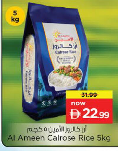 available at نستو هايبرماركت in الإمارات العربية المتحدة , الامارات - رَأْس ٱلْخَيْمَة