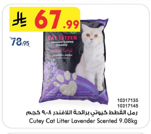 available at بن داود in مملكة العربية السعودية, السعودية, سعودية - خميس مشيط