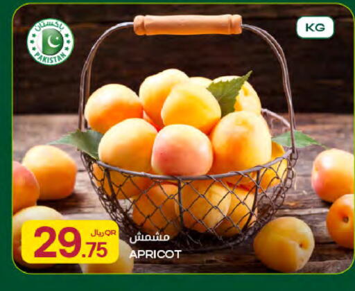 Apricot from Pakistan available at Al Meera in Qatar - Al Shamal