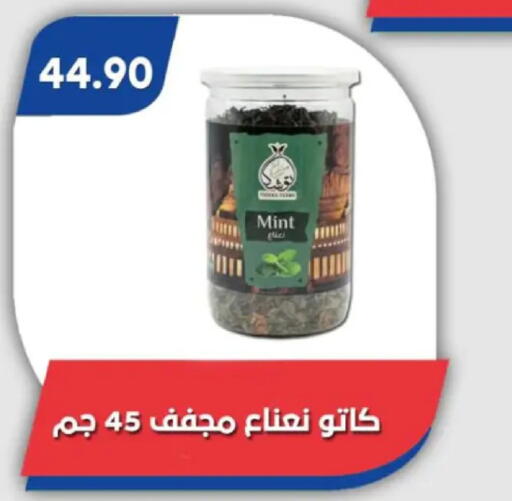 Mint available at Bassem Market in Egypt - Cairo