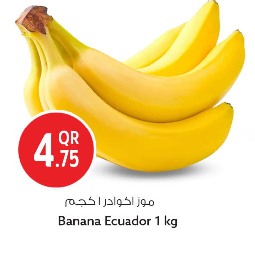 Banana from Ecuador available at سفاري هايبر ماركت in قطر - الوكرة