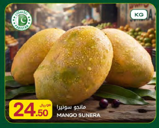 Mango from Pakistan available at شركة الميرة للمواد الاستهلاكية in قطر - الشمال