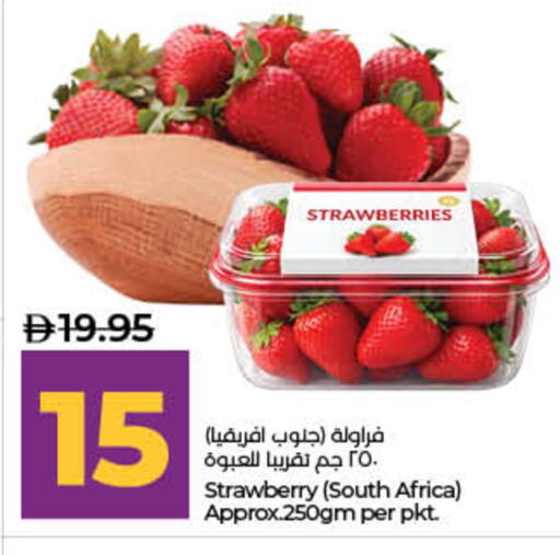 Strawberry from South Africa available at لولو هايبرماركت in الإمارات العربية المتحدة , الامارات - ٱلْفُجَيْرَة‎