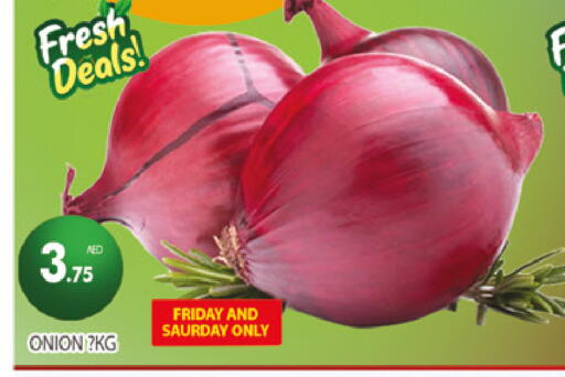 Onion available at AL MADINA (Dubai) in UAE - Dubai