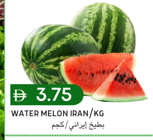 Melon from Iran available at سيليكت ماركت in الإمارات العربية المتحدة , الامارات - أبو ظبي