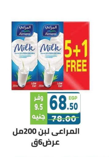 available at Dream Market in Egypt - Cairo
