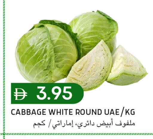 Cabbage available at سيليكت ماركت in الإمارات العربية المتحدة , الامارات - أبو ظبي