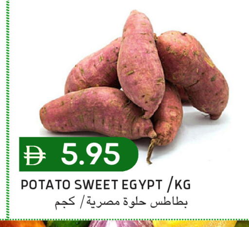 Potato from Egypt available at سيليكت ماركت in الإمارات العربية المتحدة , الامارات - أبو ظبي