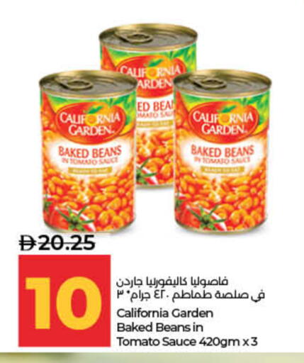 Tomato available at لولو هايبرماركت in الإمارات العربية المتحدة , الامارات - ٱلْفُجَيْرَة‎