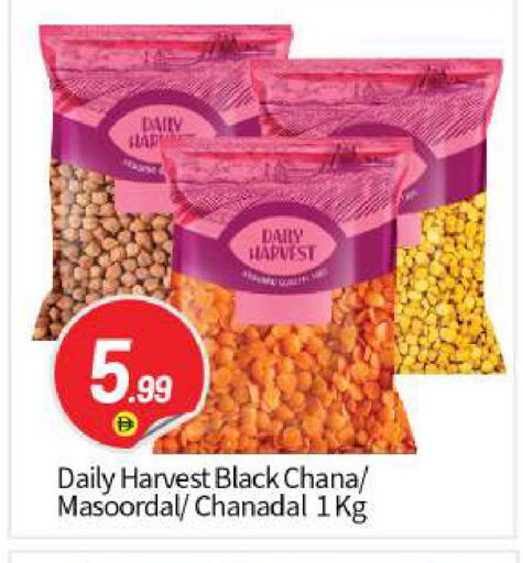 available at بيج مارت in الإمارات العربية المتحدة , الامارات - أبو ظبي