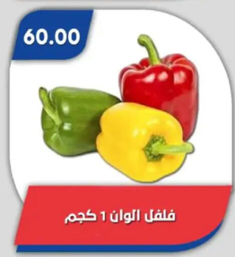 available at Bassem Market in Egypt - Cairo