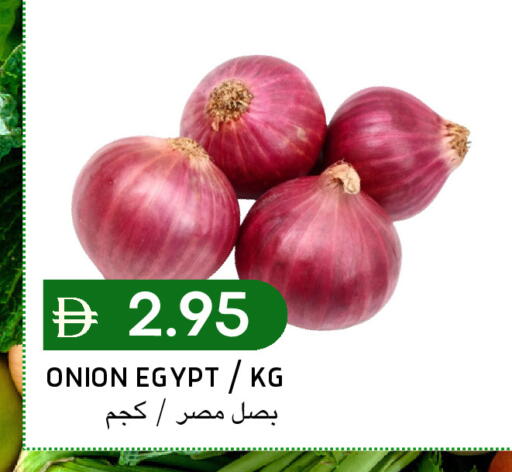 Onion from Egypt available at سيليكت ماركت in الإمارات العربية المتحدة , الامارات - أبو ظبي