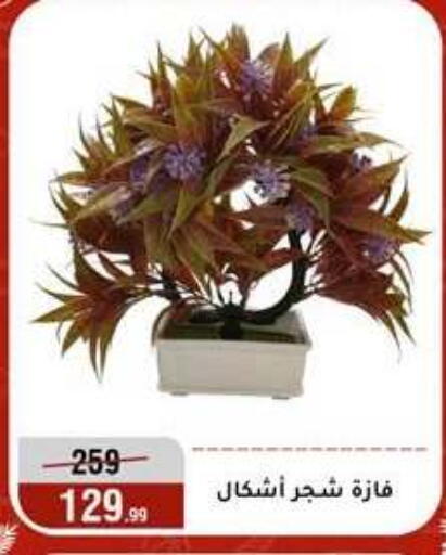 available at المرشدي in Egypt - القاهرة