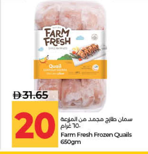 available at لولو هايبرماركت in الإمارات العربية المتحدة , الامارات - ٱلْفُجَيْرَة‎