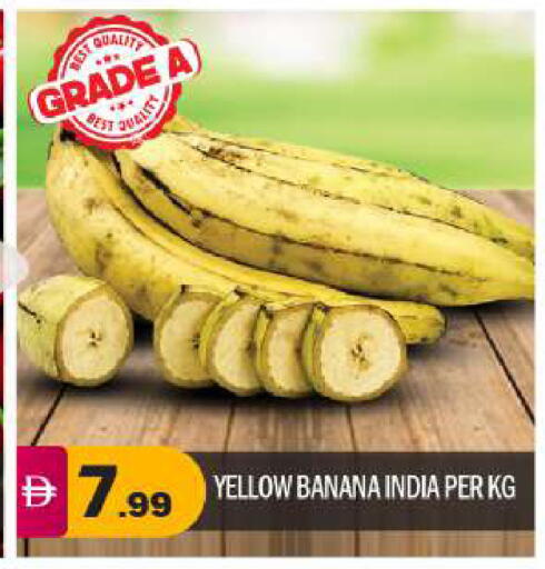 Banana from India available at بيج مارت in الإمارات العربية المتحدة , الامارات - أبو ظبي