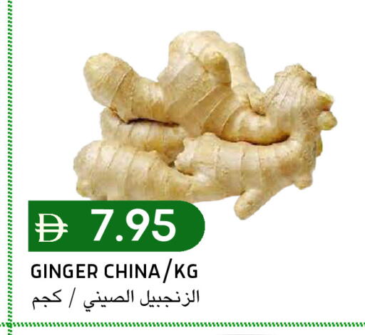 Ginger from China available at سيليكت ماركت in الإمارات العربية المتحدة , الامارات - أبو ظبي