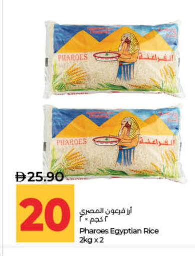 available at لولو هايبرماركت in الإمارات العربية المتحدة , الامارات - ٱلْفُجَيْرَة‎
