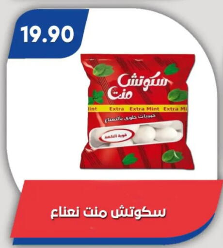 Mint available at Bassem Market in Egypt - Cairo