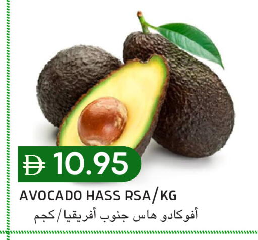 Avocado available at سيليكت ماركت in الإمارات العربية المتحدة , الامارات - أبو ظبي
