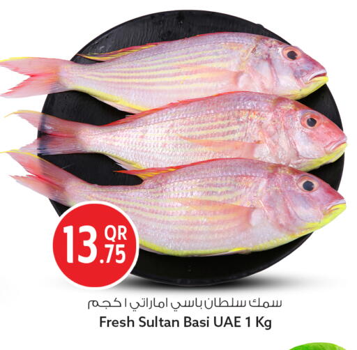 available at سفاري هايبر ماركت in قطر - الريان