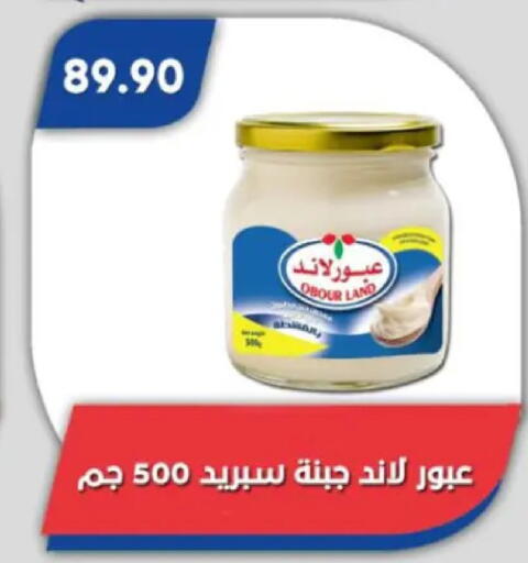 available at Bassem Market in Egypt - Cairo