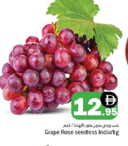 from India available at هايبر ماركت باسونز in الإمارات العربية المتحدة , الامارات - دبي