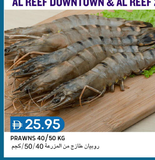 available at سيليكت ماركت in الإمارات العربية المتحدة , الامارات - أبو ظبي
