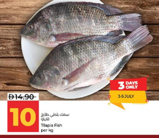 available at لولو هايبرماركت in الإمارات العربية المتحدة , الامارات - ٱلْعَيْن‎
