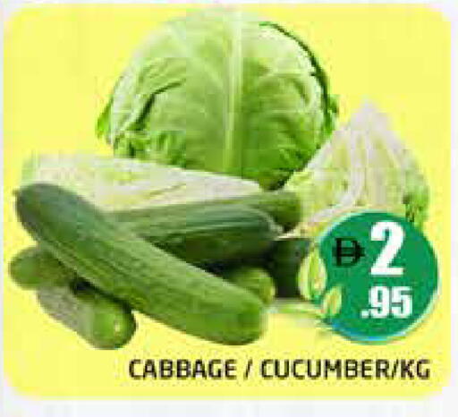 Cabbage Cucumber available at هايبر ماركت باسونز in الإمارات العربية المتحدة , الامارات - دبي