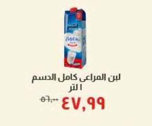 available at Kheir Zaman  in Egypt - Cairo