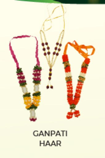 available at العديل سوبرماركت in الإمارات العربية المتحدة , الامارات - أبو ظبي
