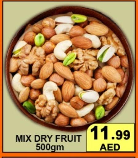 available at جرين جيفت متجر أقسام in الإمارات العربية المتحدة , الامارات - دبي