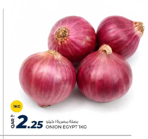 Onion from Egypt available at روابي هايبرماركت in قطر - الوكرة
