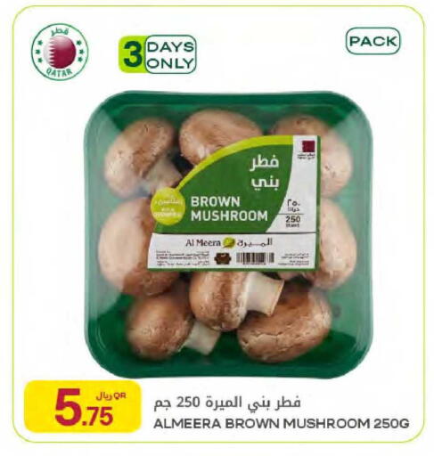 Mushroom from Qatar available at شركة الميرة للمواد الاستهلاكية in قطر - الدوحة
