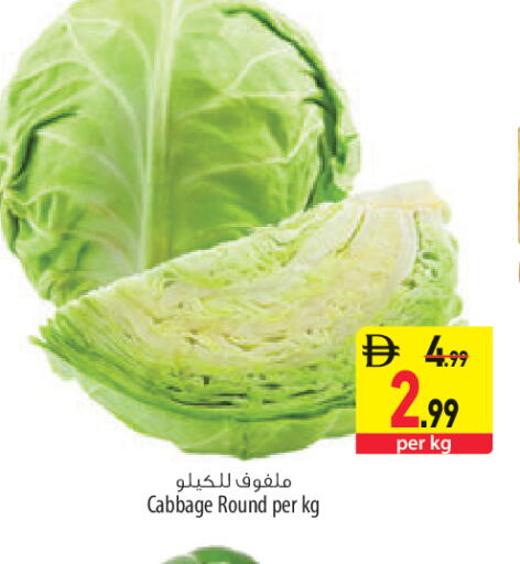 Cabbage available at Safeer Market in UAE - Abu Dhabi