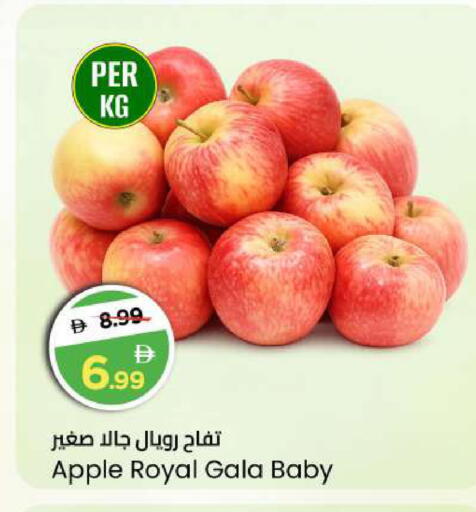 Apple available at مارك & سيف in الإمارات العربية المتحدة , الامارات - أبو ظبي