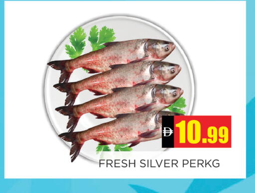 available at اينس المدينة هايبرماركت in الإمارات العربية المتحدة , الامارات - الشارقة / عجمان
