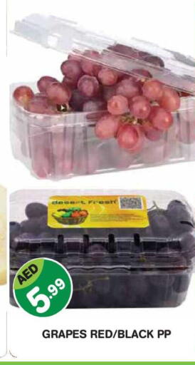 Grapes available at سنابل بني ياس in الإمارات العربية المتحدة , الامارات - أبو ظبي