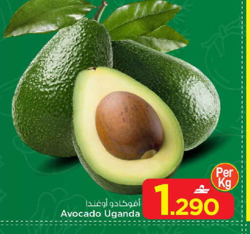 Avocado from Uganda available at مارك & سايف in عُمان - مسقط‎